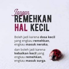 Kita sokong Taliban.